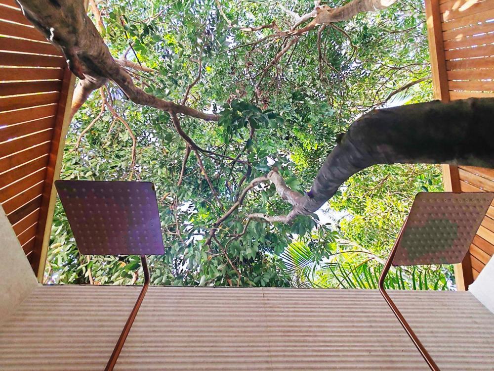 Coliver - Coliving A La Reunion Saint Pierre Dış mekan fotoğraf
