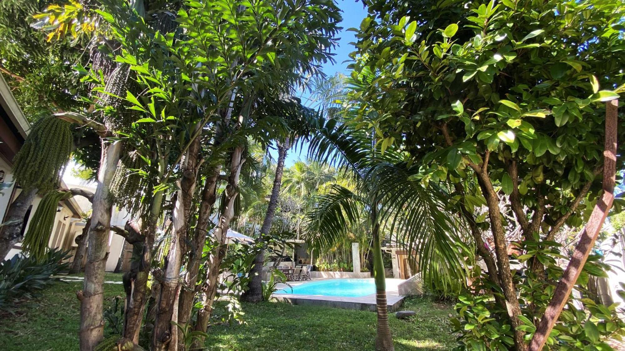 Coliver - Coliving A La Reunion Saint Pierre Dış mekan fotoğraf