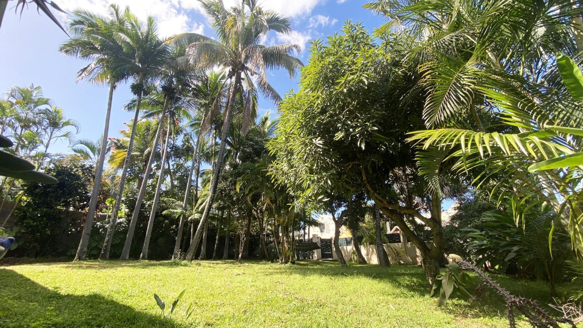Coliver - Coliving A La Reunion Saint Pierre Dış mekan fotoğraf