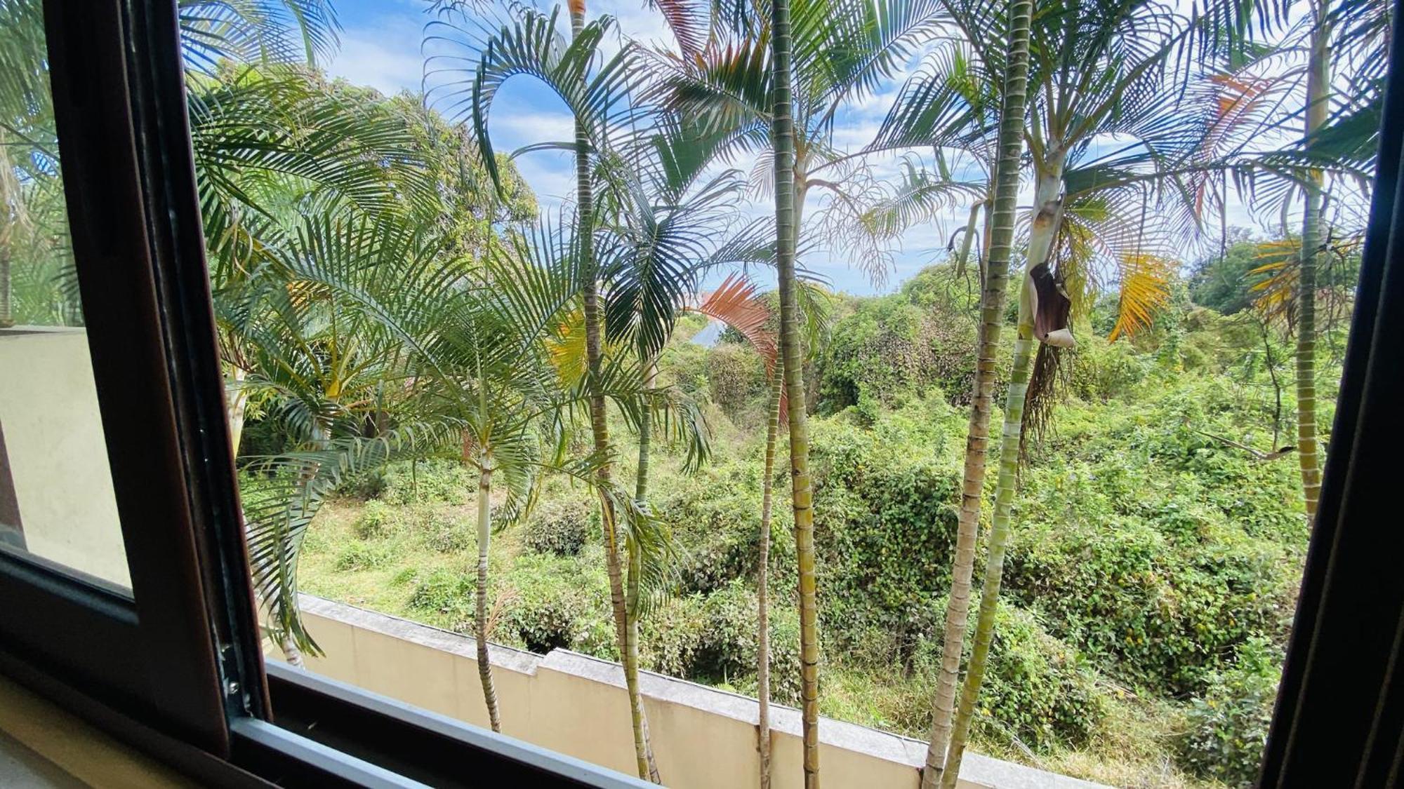 Coliver - Coliving A La Reunion Saint Pierre Dış mekan fotoğraf