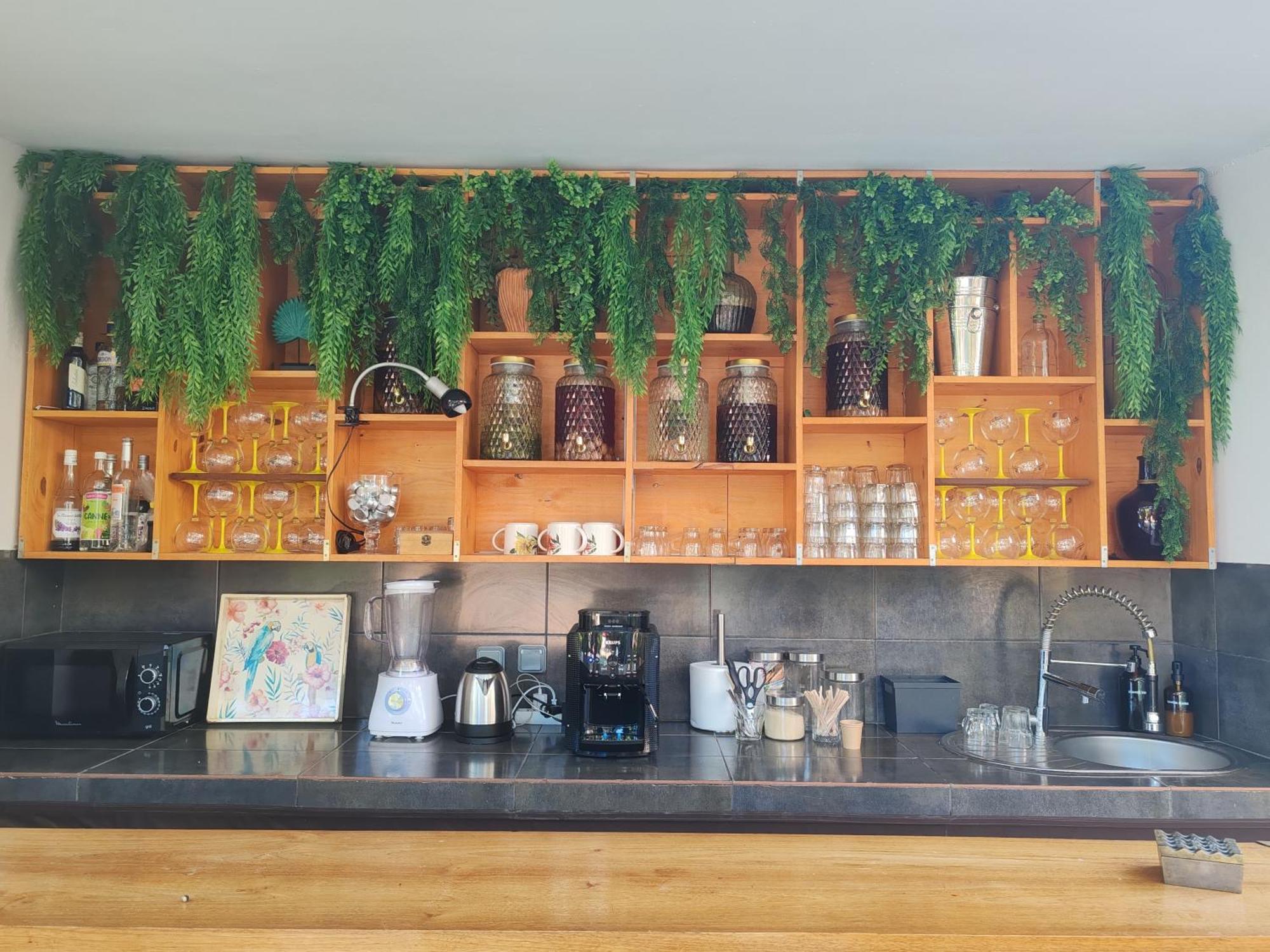 Coliver - Coliving A La Reunion Saint Pierre Dış mekan fotoğraf
